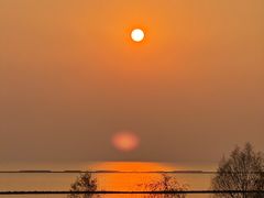 -合肥滨湖国家森林公园