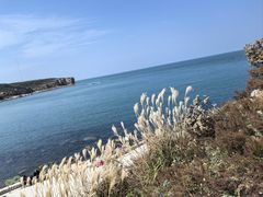 -龙爪山国家地质公园