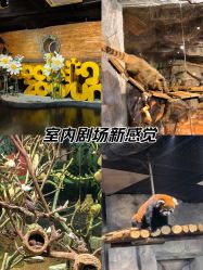 -Zoolung Zoolung动物主题公园(海信广场店)