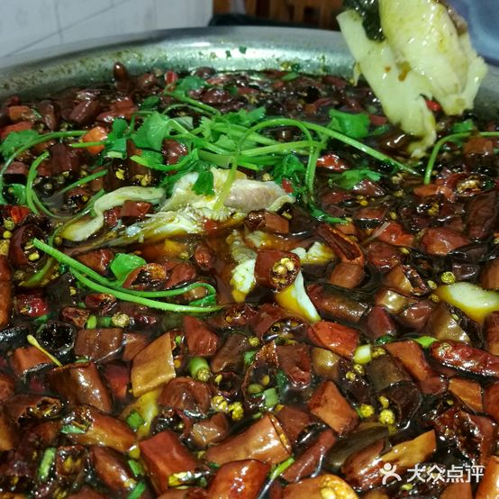 大众来凤鱼(锦欣苑店)