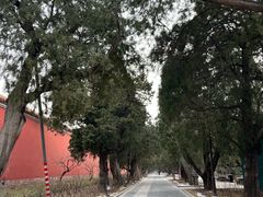 -北京市劳动人民文化宫(太庙)