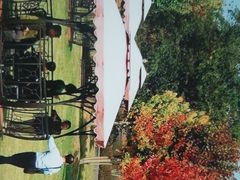 -南京枫彩漫城
