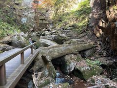 -五女峰国家森林公园