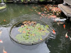 -桃园盛宴·岭南粤菜·手工茶点(南庄店)