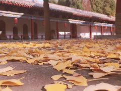 -青龙山生态文化旅游区(慈云寺)