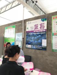 -蓝呗呗蓝莓草莓采摘园(通州区马驹桥店)