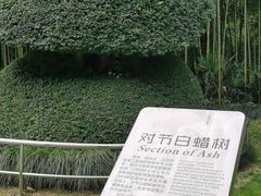-苏州河梦清园环保主题公园
