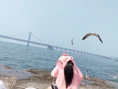 -大连星海广场音乐喷泉