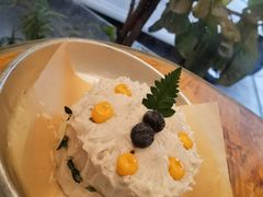 -野草莓自由市场