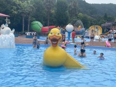 -重庆海昌加勒比海水世界