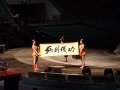 -灵玲国际马戏城