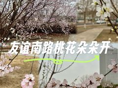 -天津梅江会展中心