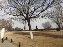 -汉长安城未央宫国家考古遗址公园