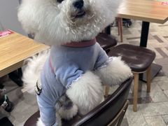 -回味鸭血粉丝汤(砂之船店)