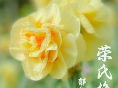 -无锡梅园公园