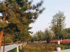 -汉长安城未央宫国家考古遗址公园