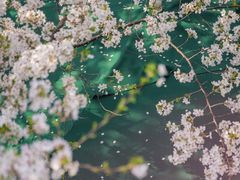 -星巴克臻选(上海合生汇1F店)