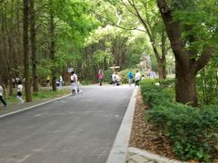 -同里国家湿地公园