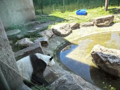 -沈阳森林动物园
