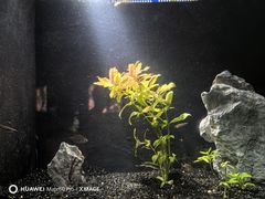 -上海海洋水族馆