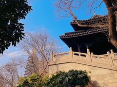 -红梅公园