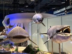 -中国（海南）南海博物馆
