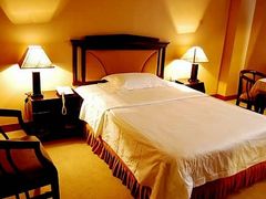 金河宾馆豪华单间-成都金河宾馆(宽窄巷子店)