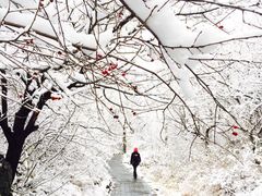 -蟠龙山长城景区