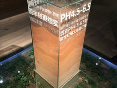 -中国沉香文化博物馆