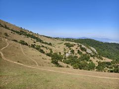 -大姆山草场