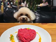 爱心肉肉餐-百好乐宠物友好餐厅(朝外大街店)