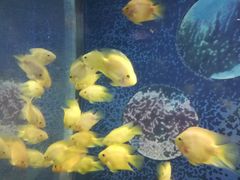 -福州罗源湾海洋世界旅游区