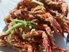 -霸王虾·麻辣小龙虾(清水河公园店)