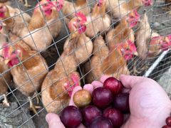 -象头山国家级自然保护区