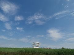 -光明小镇欢乐田园