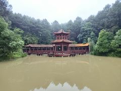 -铁山坪森林公园