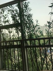 -天津市儿童医院(北辰龙岩院区)