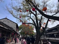 -周庄古镇景区-双桥