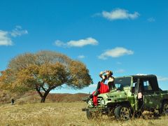 -塞罕坝国家级自然保护区