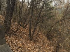 -帽儿山国家森林公园