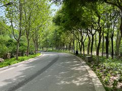 -河北省园博园