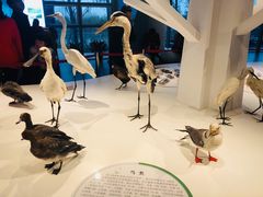 -漩门湾国家湿地公园