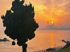 -小麦岛公园