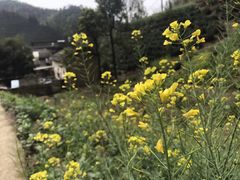 -石潭村
