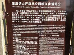 -铁山坪森林公园