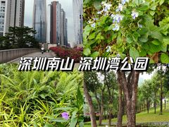 -深圳湾公园(南山区)