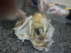 -阿侬盐焗鸡(清澜店)