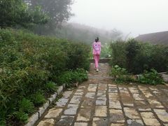 -岱崮地貌旅游区