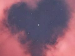 -佛山希尔顿酒店·融誉亚洲美食荟