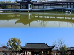 -上海滨江森林公园